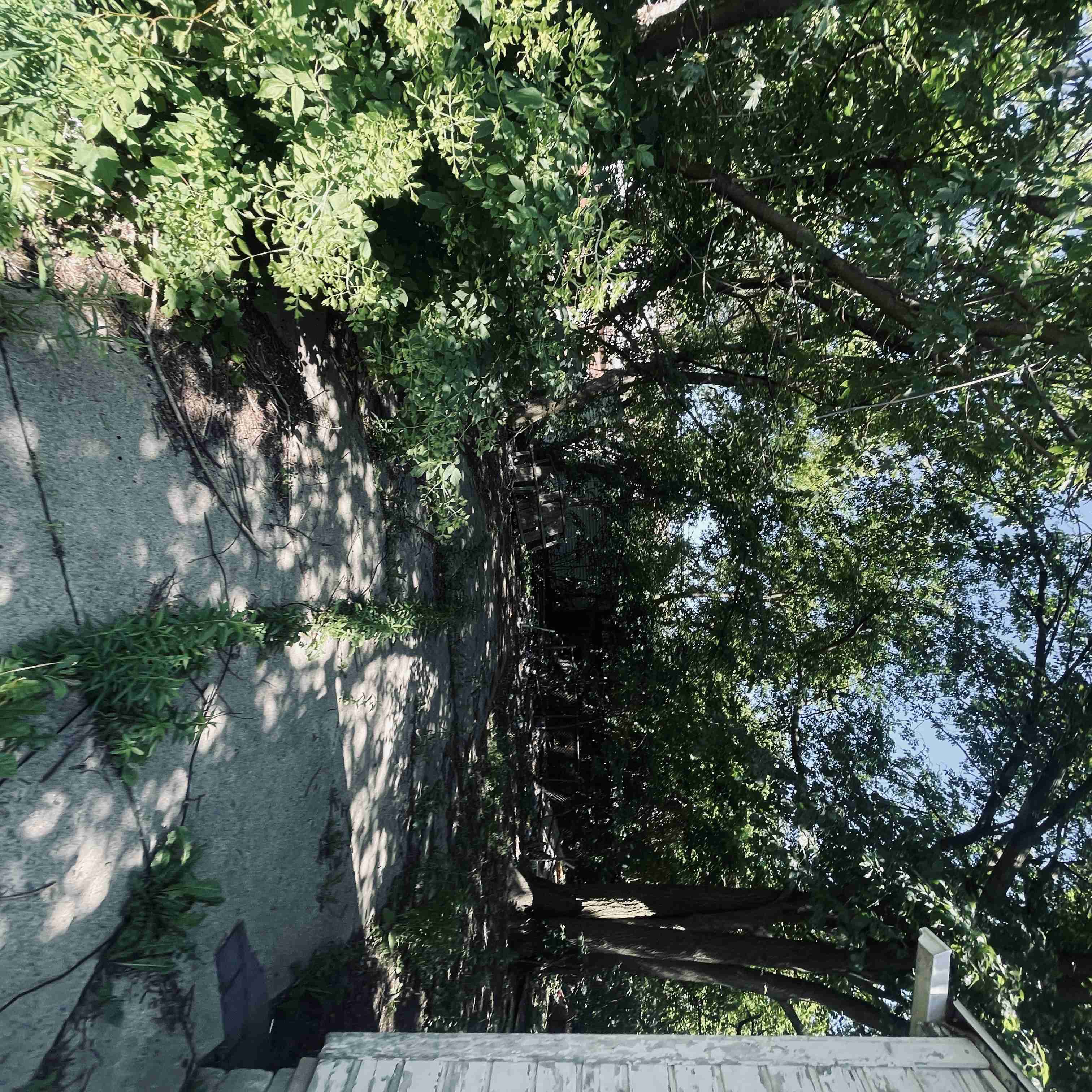 13351 Camden (13).jpg